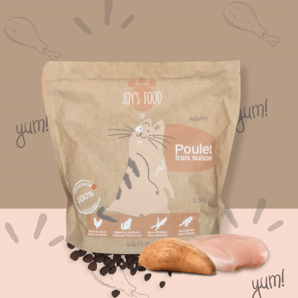Croquettes sèche chat - Poulet frais 1