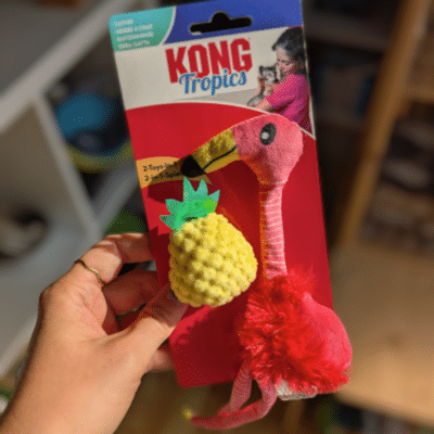 Flamingo KONG