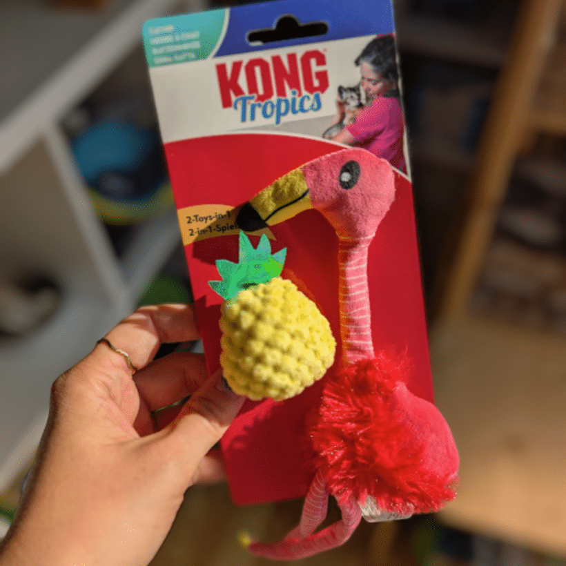 Flamingo KONG