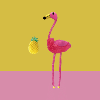 Flamingo KONG