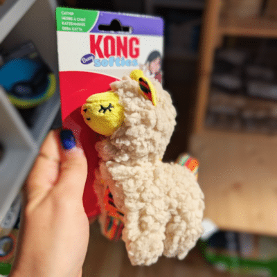 Lama